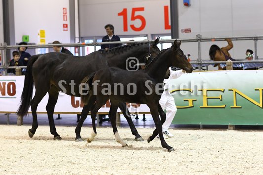 PRINCESS LIESA_MILANO_2010_SS3_7428.jpg